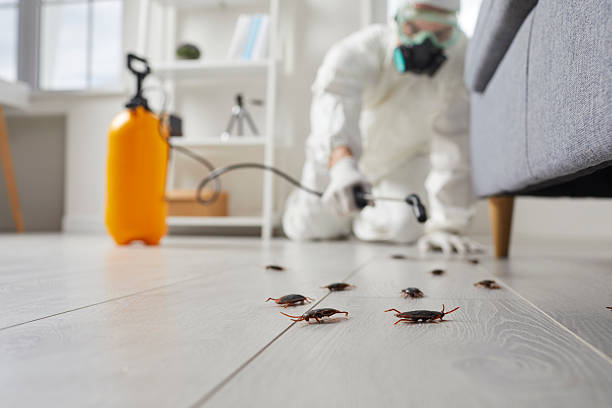 Commercial Kitchen Cockroach Control in Briarcliff Manor